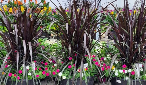 2022 Planter3